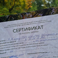 «Посади дерево»