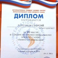 «Основы восточных единоборств»