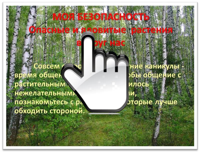 «Моя безопасность»